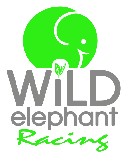 wild-elephant