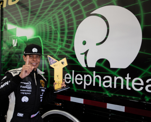 Ron Atapattu Elephantea