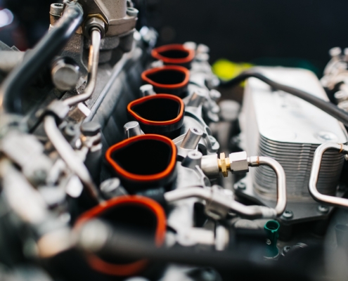 374524271_10228565366891872_7940771236140980036_n